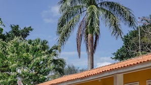 A yellow building with a tiled roof, potted plants, and a palm tree. - Alambari Village (Alambari)