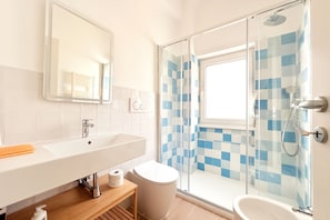 Shower, hair dryer, bidet, towels