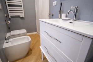 Shower, hair dryer, bidet, towels