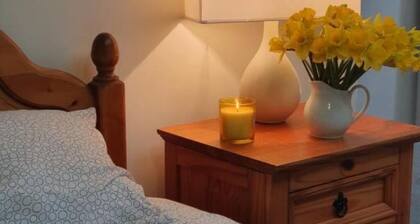 The Plaza Suites High St Bangor