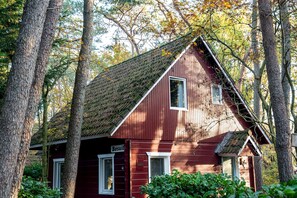 Exterior - Attractive and comfortable Swedish vacation home in forest and close to dunes (Soest)