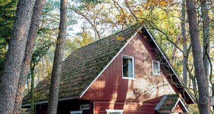 Attractive and comfortable Swedish vacation home in forest and close to dunes