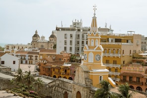Vista desde la propiedad