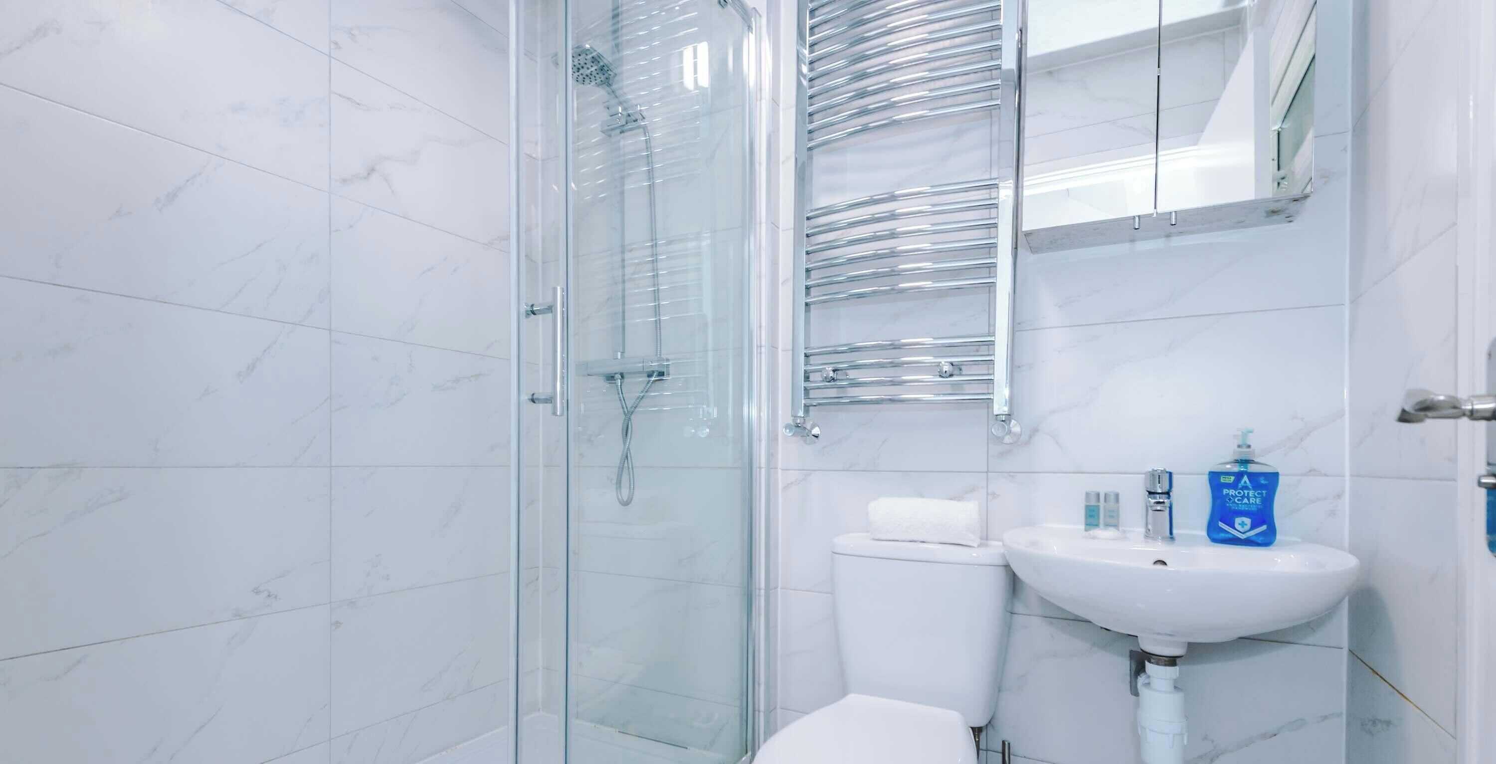 Shower, hair dryer, shampoo