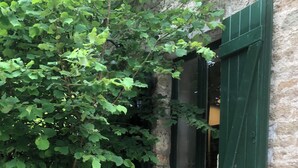 En plantekasse i træ med tremmer, grønne skodder, en stenvæg og en frodig, grøn plante.