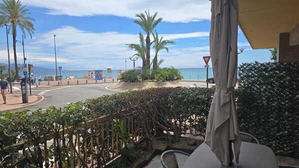 Terras