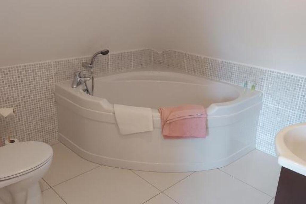 Hårtørrer, bidet, håndklæder, Toiletpapir
