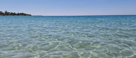 Playa en los alrededores, camastros y toallas de playa