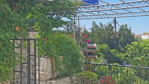 Une entrée fermée par un portail, avec un mur en pierre, des plantes en pot et une enseigne indiquant les « appartements Orange ».