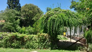 Üppiger Garten mit verschiedenen Pflanzen und Bäumen, strahlend blauer Himmel und ein gelbes Fahrzeug im Hintergrund.