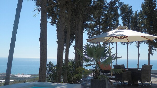Zona de piscina con borde curvo, rodeada de altos árboles y vistas al mar. Hay una mesa con sillas y un paraguas grande.