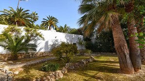 Une cour bordée de palmiers, un mur blanc et un chemin pavé de pierres.