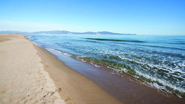 Playa en los alrededores 