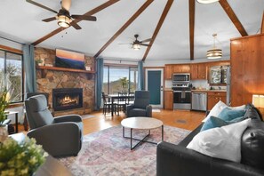 Fernseher, Kamin, Bücher, Arbeitsbereiche