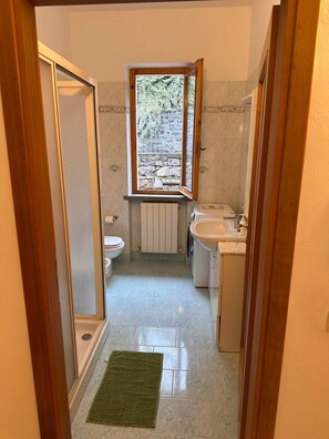 Hårtørrer, bidet, håndklæder, Sæbe