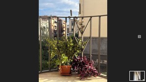 Terrace/patio - Deodato Guest House (Catania)