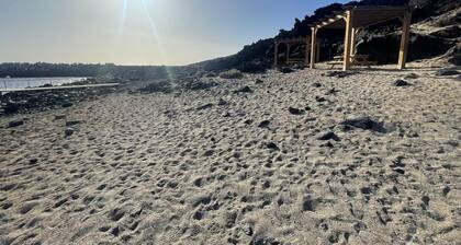 The House of Mercedes