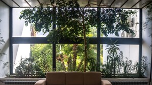 Une pièce dotée d’une grande fenêtre, d’un canapé beige et de diverses plantes d’intérieur.