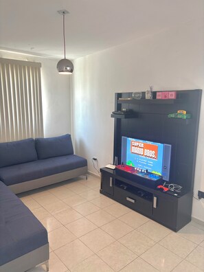 Una Smart TV, videojuegos, un reproductor de DVD, libros