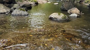 Une rivière qui coule sous un pont, avec une eau claire, des rochers et de la végétation.