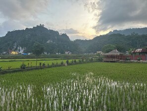 Miscellaneous - Bait Lino (South Sulawesi)