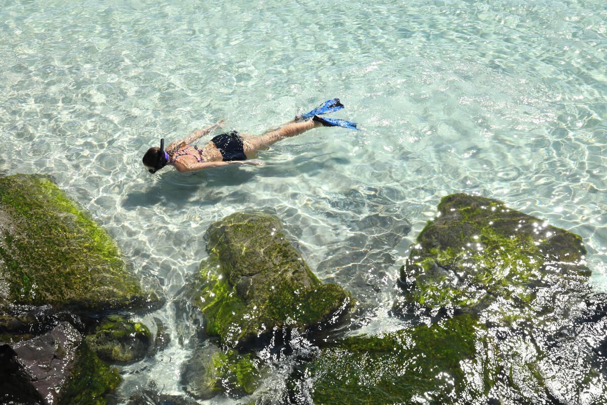 Una persona nadando en aguas claras con rocas y algas visibles.