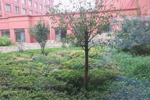 Uklassifisert bilde, 3 av 54, knapp