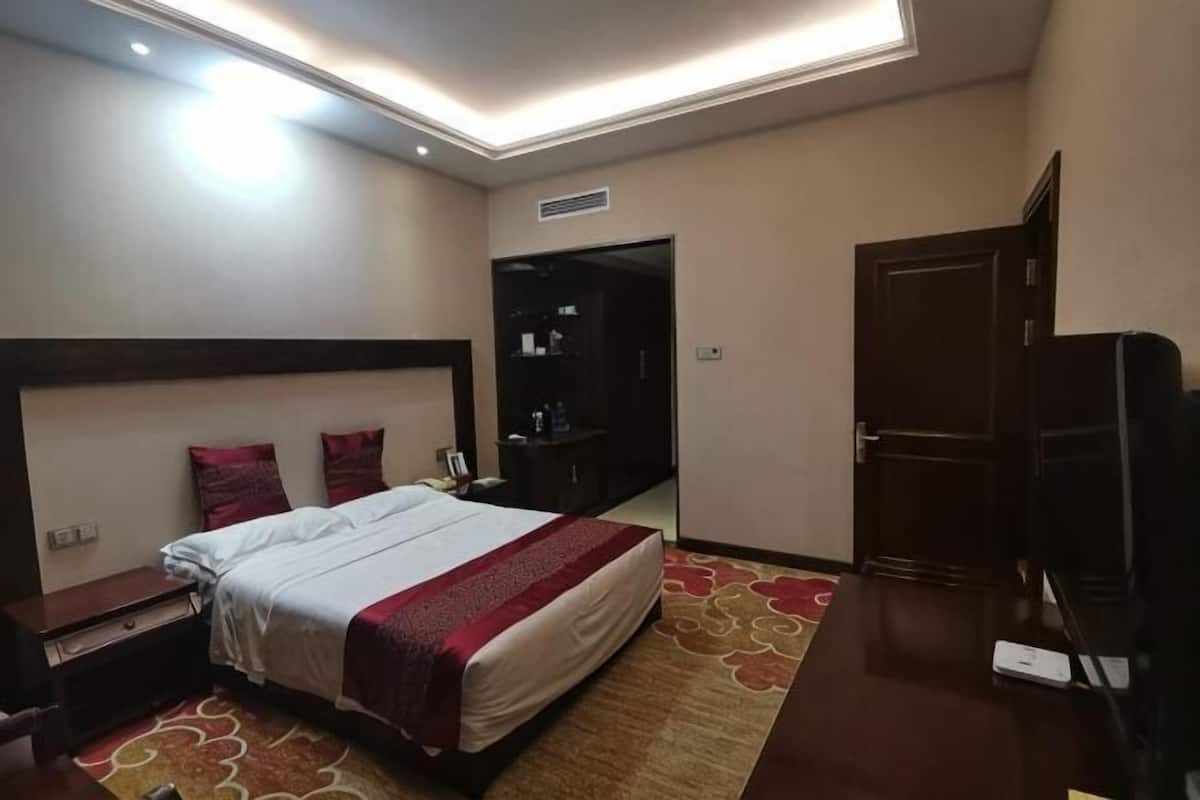 Camera d'albergo con un letto, comodino, televisione, armadio e uno specchio.
