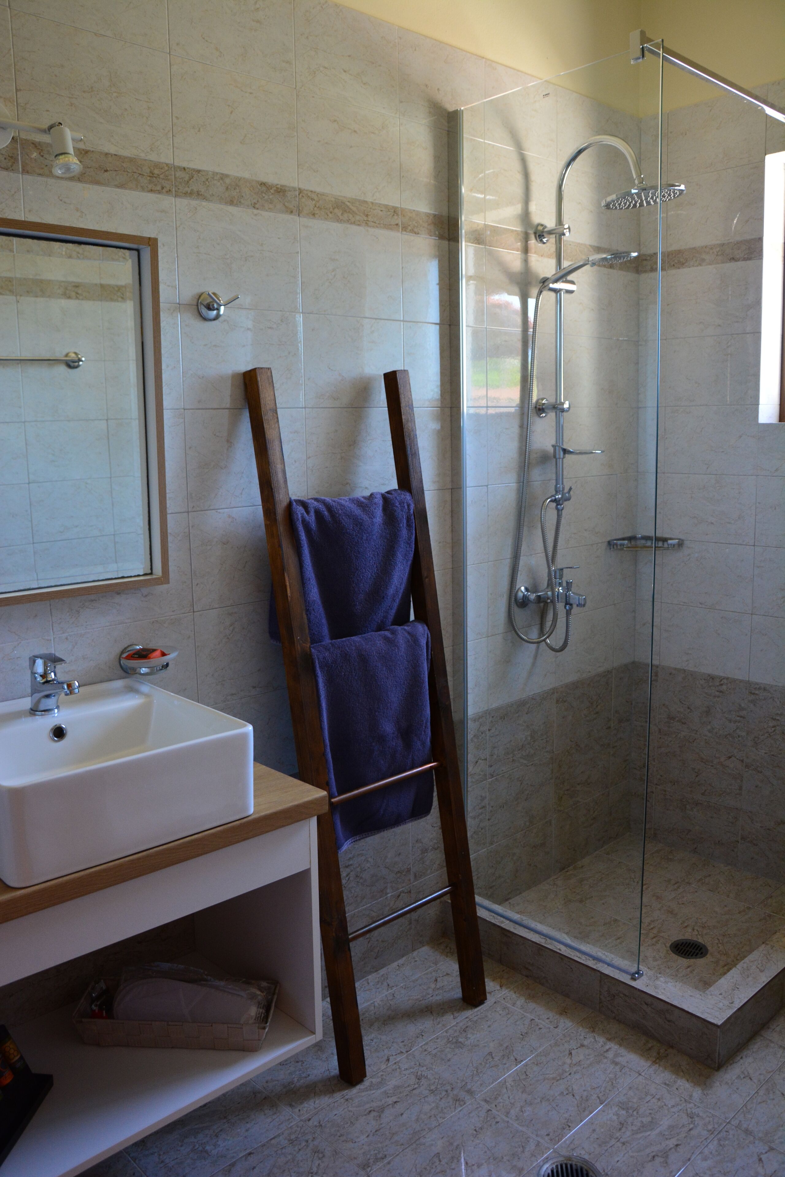 A bathroom with a glass-enclosed shower, a sink, and a wooden ladder leaning against the wall.