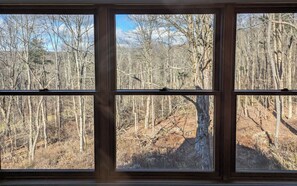 A window with a view of a forested area.