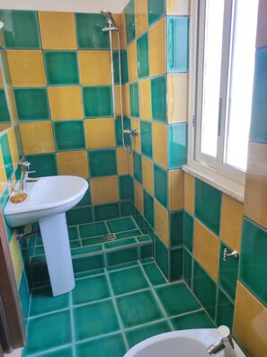 Regadera, secadora de cabello, bidet, toallas 