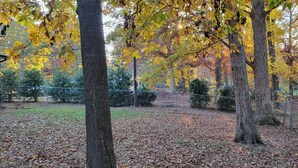 A park with trees, a fence, and a grassy area covered with fallen leaves. -  Lake Tillery Area, 4-bedroom house in charming Norwood with WiFi, Deck and AC (Norwood)
