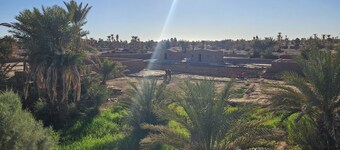 Golden Gazelle Oasis - An Authentic Experience in the Heart of M'Hamid Desert".