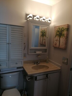 Hair dryer, towels - Vacation apartment on Hibiscus Island Miami South Beach right on the water with pool (Miami Beach)