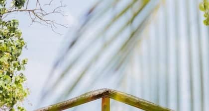 Velaa Vani - The Turtle Hive Maldives