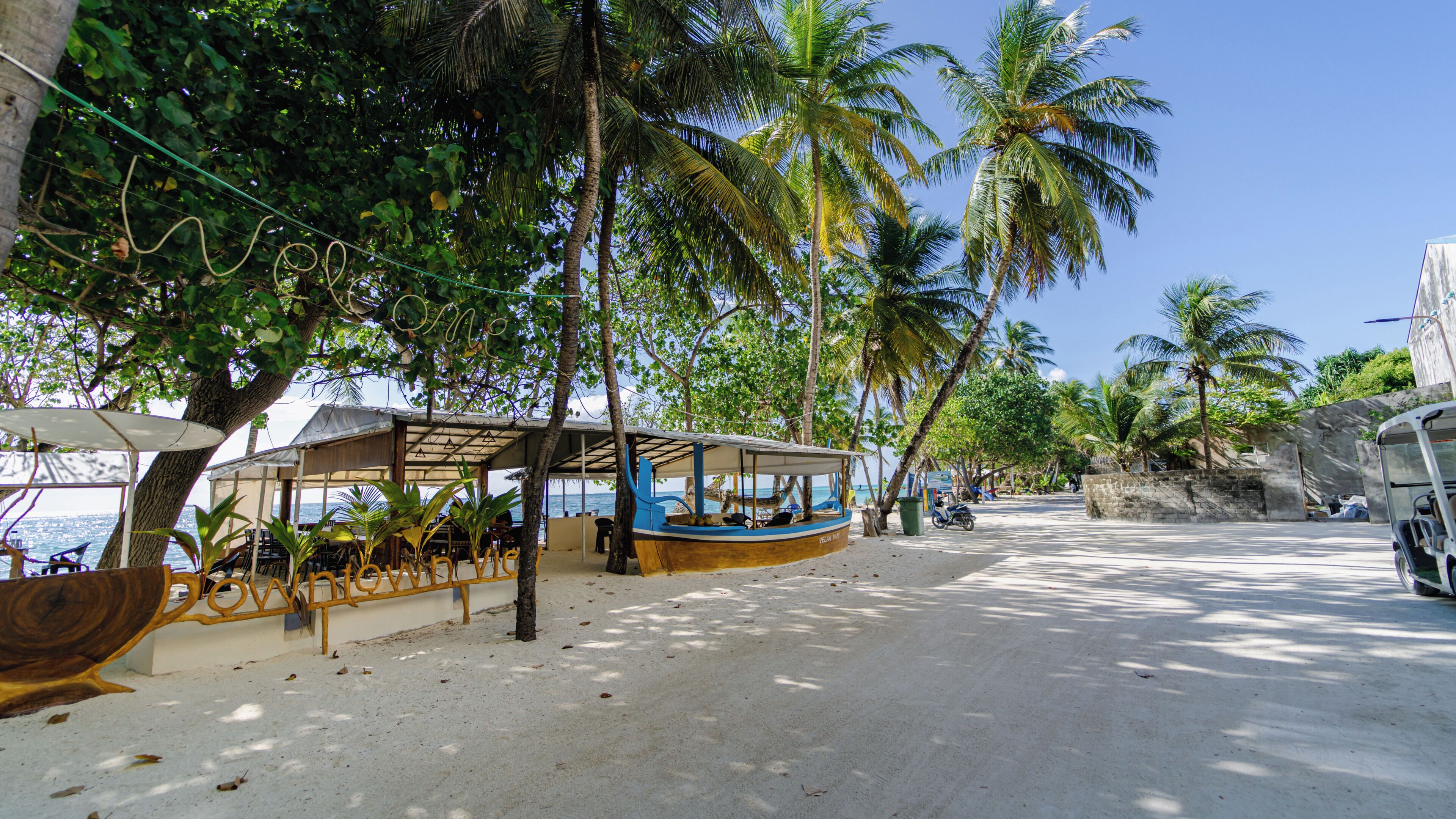 A beachside restaurant with outdoor seating, palm trees, and a view of the ocean.