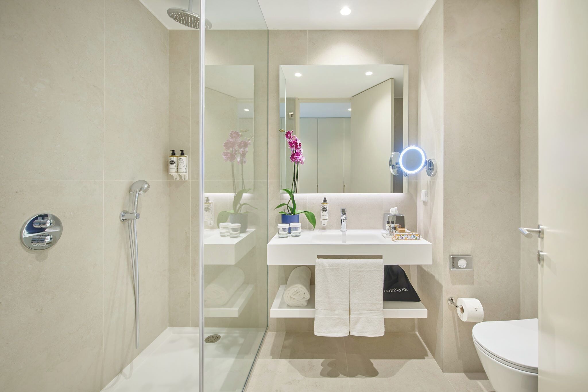 Une salle de bain moderne avec une douche à parois de verre, un lavabo blanc avec un miroir et des toilettes.