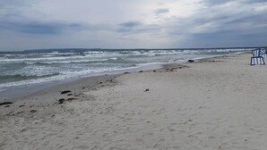 A beach with a sandy shore and a chair. - House directly on the beach, behind the dune, sea view (Breege)