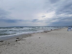 On the beach