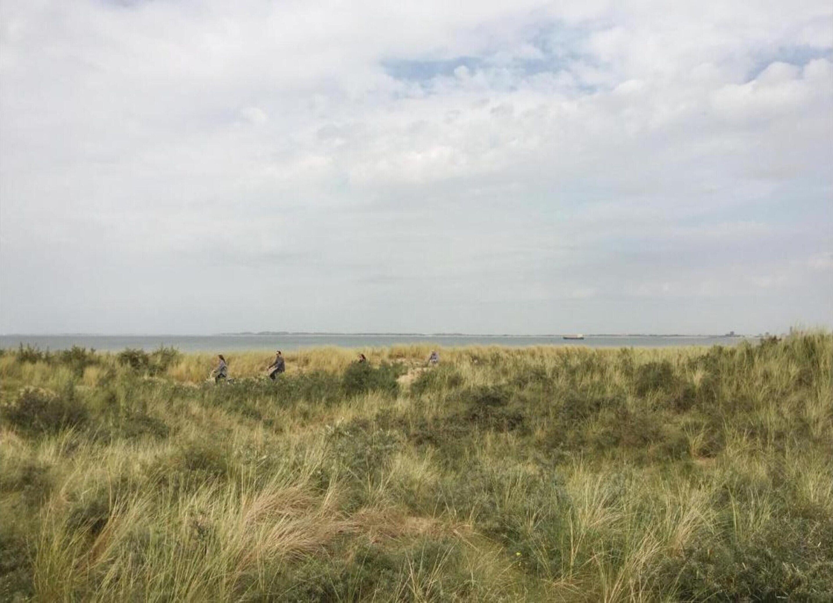 Eine Küstenlandschaft mit hohem Gras und einem Blick auf das Meer in der Ferne.