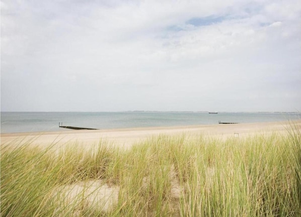 A beach with sand and grass, a boat in the water, and a distant shoreline.