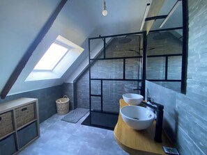 Shower, hair dryer, toilet paper