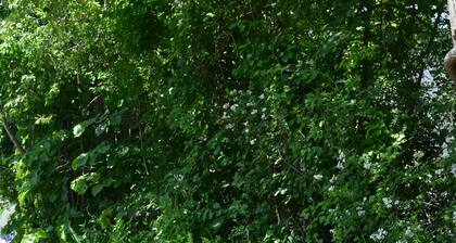 66 Cottage St. Unit B