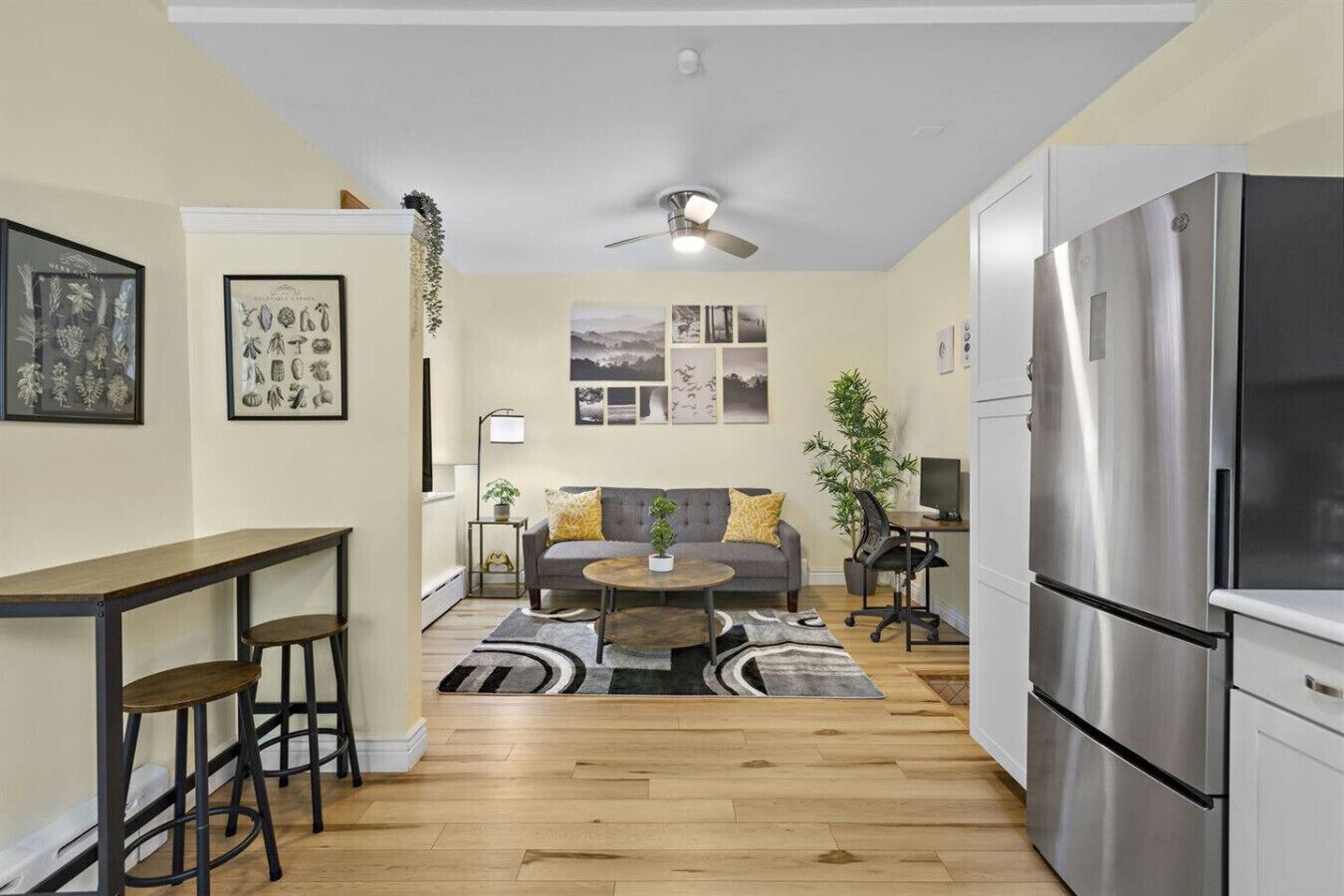 Smart TV, computer monitors