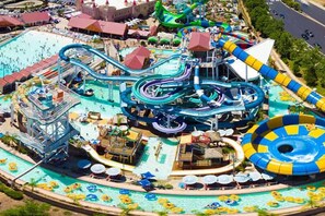 Pool - Minutes from Moffit and Busch Gardens (Tampa)