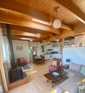 Televisión y chimenea