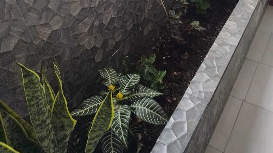 Hostal Terranova Quitumbe