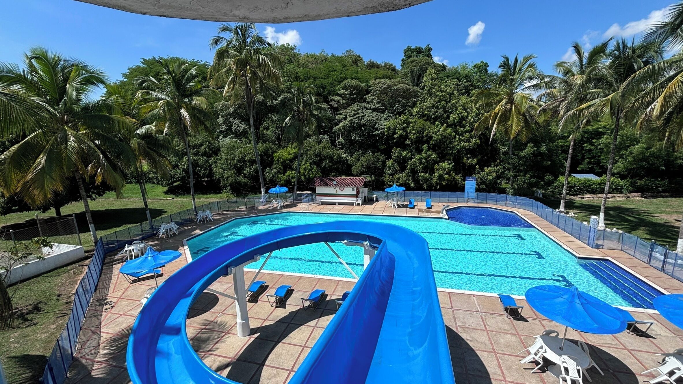 Una amplia piscina exterior con varias pistas de natación, rodeada de palmeras y con sombrillas.