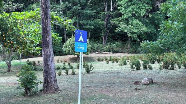 Un panneau indiquant une zone de camping dans une zone boisée, avec des arbres et des arbustes.