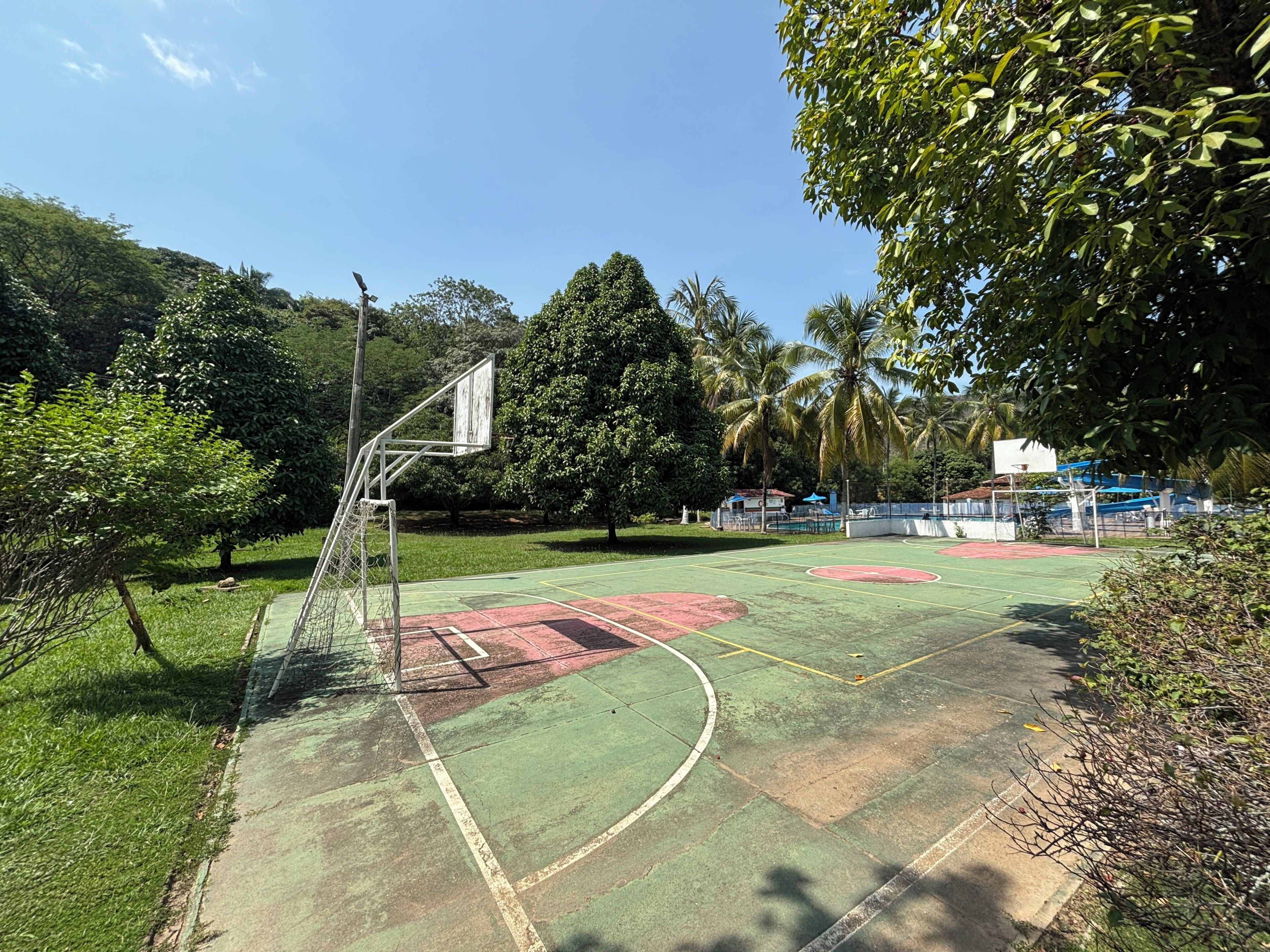Ein Basketballplatz im Freien mit Korb, umgeben von Bäumen und Grünflächen.